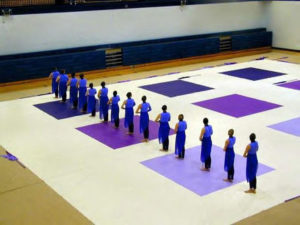 Electra Tarp Shades of Purple Squares Guard & Percussion Floor Cover