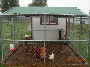 Electra Tarp Cover for Chicken Coop