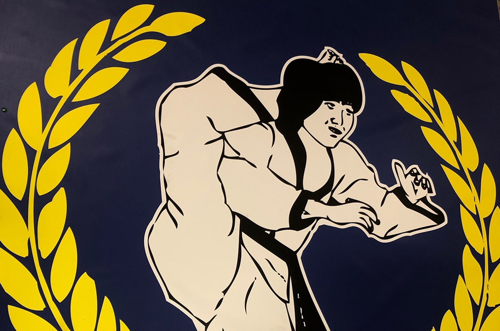 Custom Martial Arts Floor Cover