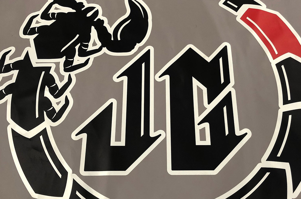 Martial Arts Floor Cover With Logo