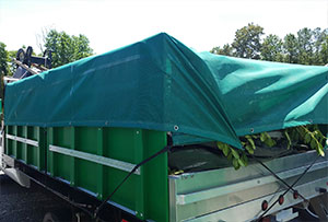 Green landscaping truck and mesh tarp protecting plants during transit